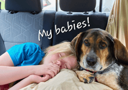 OSIS_Blog_Sarahs_babies